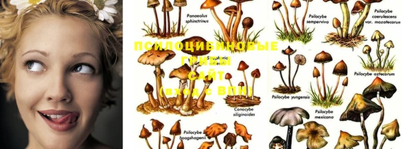 спайс Абинск
