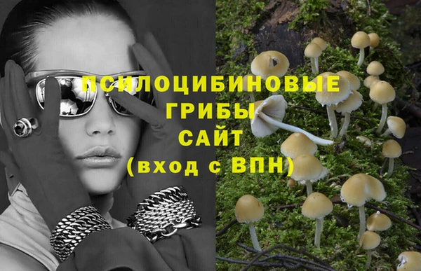 тгк Абдулино
